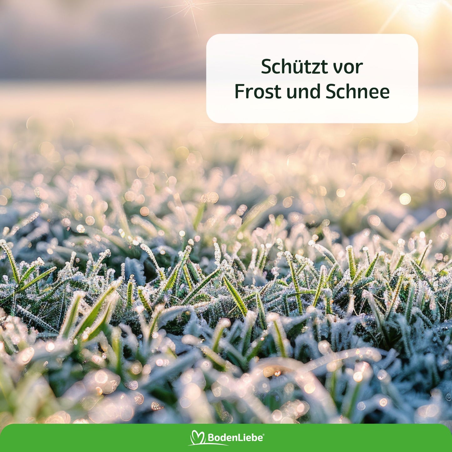 RASENBLITZ KRISTALLDÜNGER HERBST SET