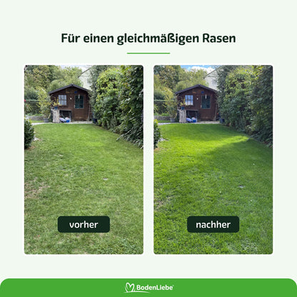 RASENBLITZ KRISTALLDÜNGER HERBST SET